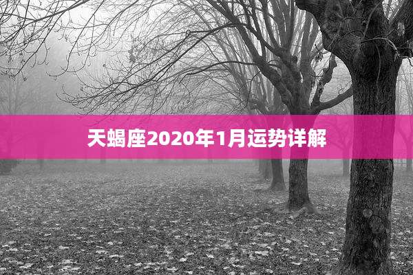 天蝎座2020年1月运势详解