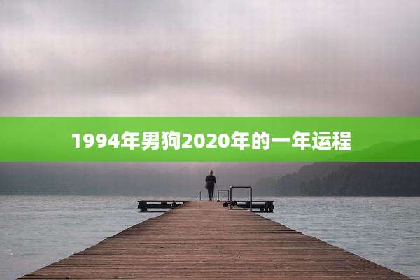1994年男狗2020年的一年运程