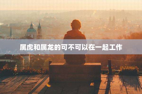 属虎和属龙的可不可以在一起工作