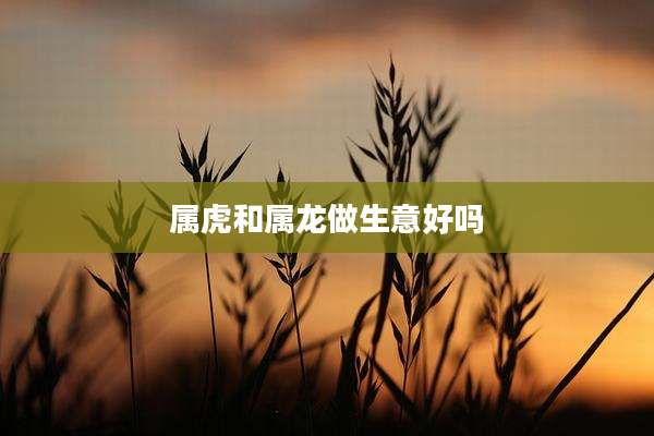 属虎和属龙做生意好吗