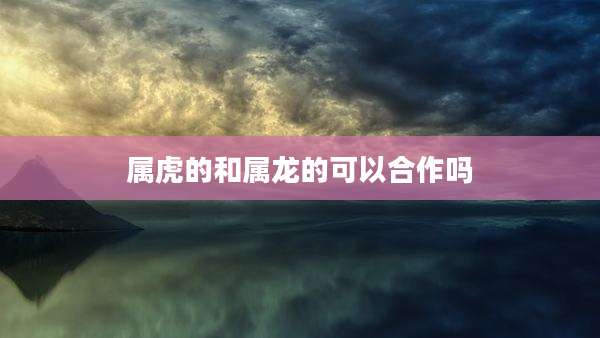 属虎的和属龙的可以合作吗