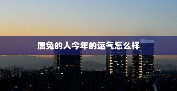 属兔的人今年的运气怎么样