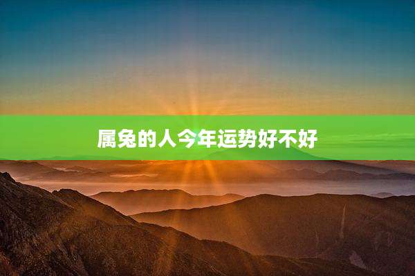 属兔的人今年运势好不好