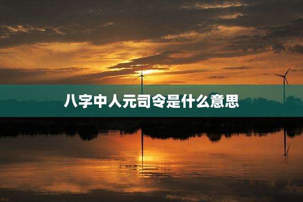 八字中人元司令是什么意思