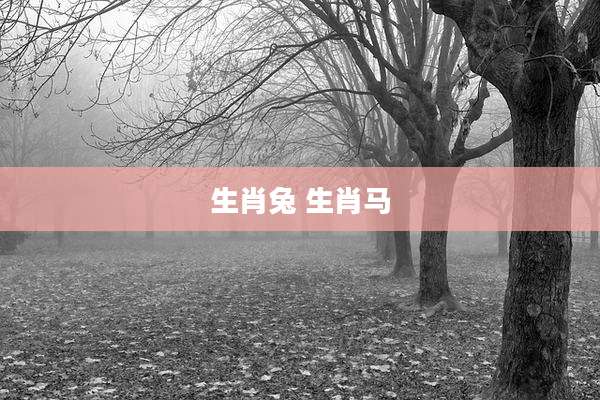 生肖兔 生肖马