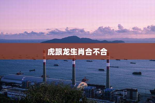 虎跟龙生肖合不合