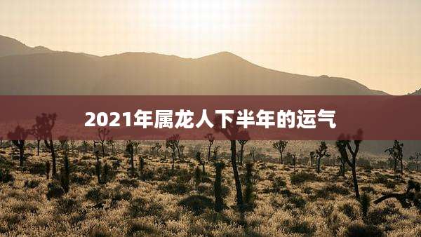 2021年属龙人下半年的运气