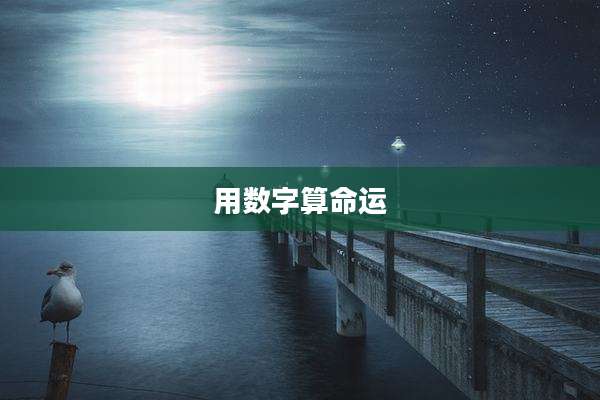 用数字算命运