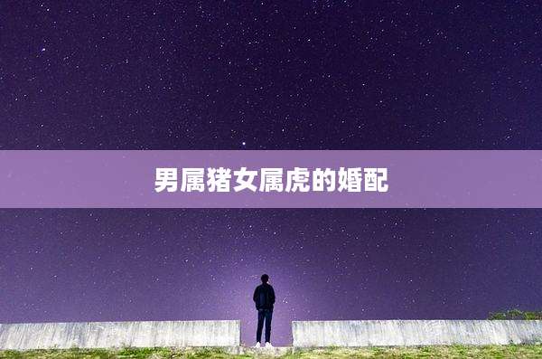 男属猪女属虎的婚配