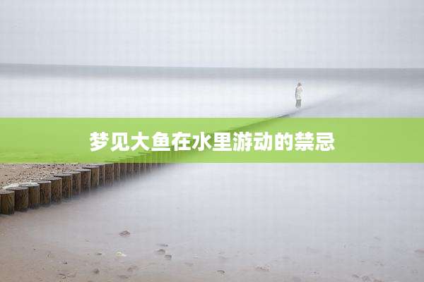 梦见大鱼在水里游动的禁忌