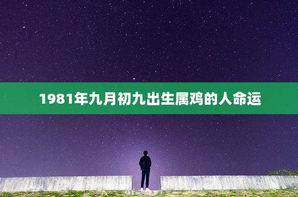 1981年九月初九出生属鸡的人命运