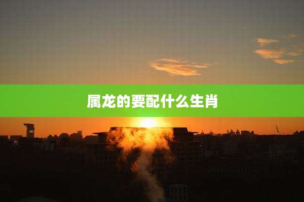 属龙的要配什么生肖