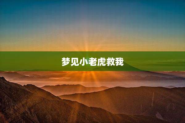 梦见小老虎救我