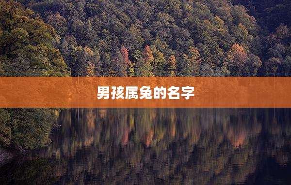 男孩属兔的名字
