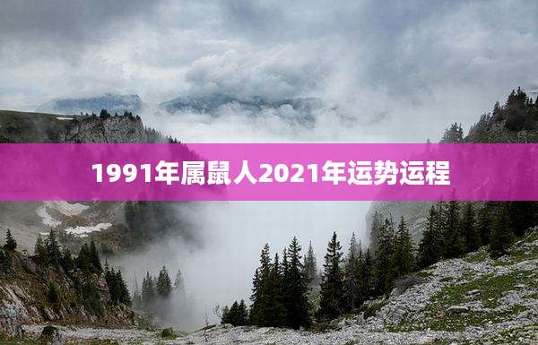 1991年属鼠人2021年运势运程