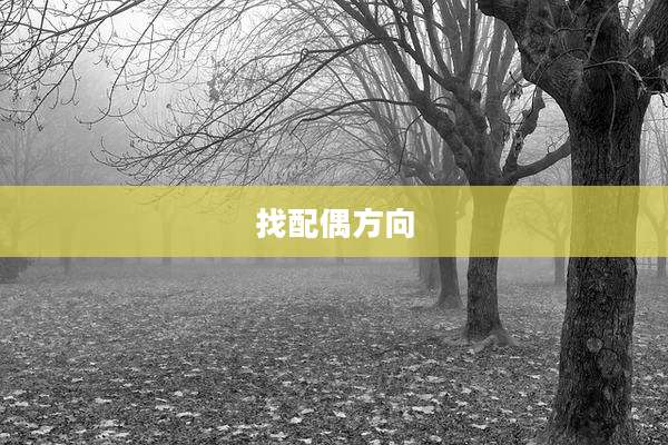 找配偶方向