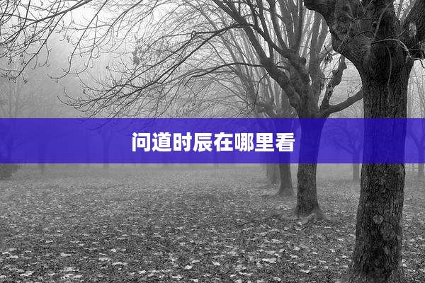 问道时辰在哪里看