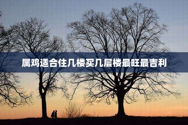 属鸡适合住几楼买几层楼最旺最吉利
