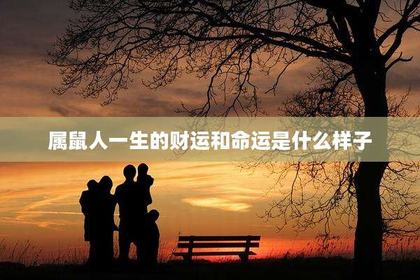 属鼠人一生的财运和命运是什么样子