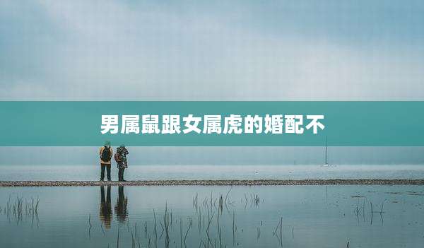 男属鼠跟女属虎的婚配不