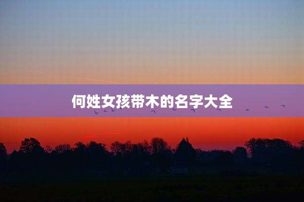 何姓女孩带木的名字大全