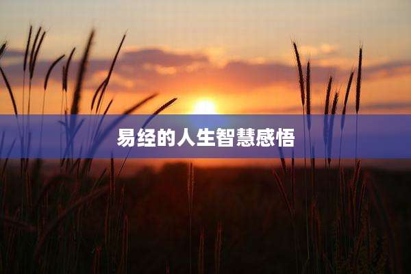 易经的人生智慧感悟
