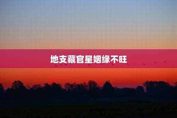 地支藏官星姻缘不旺