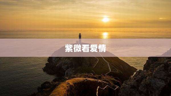 紫微看爱情
