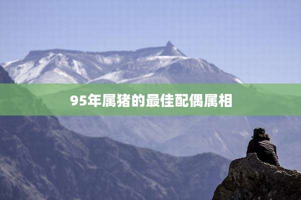 95年属猪的最佳配偶属相