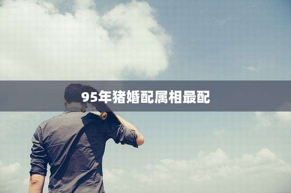 95年猪婚配属相最配