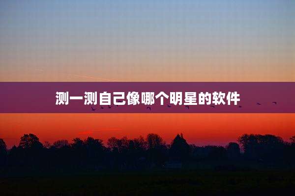 测一测自己像哪个明星的软件