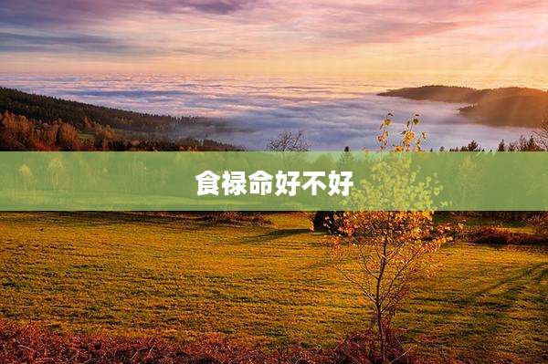 食禄命好不好