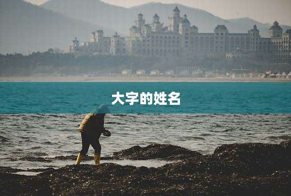 大字的姓名