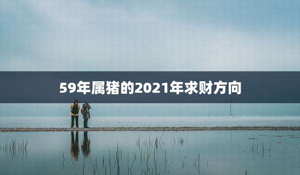 59年属猪的2021年求财方向