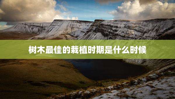 树木最佳的栽植时期是什么时候