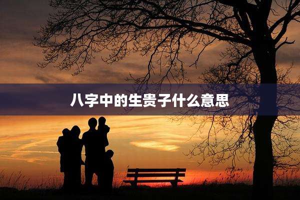 八字中的生贵子什么意思