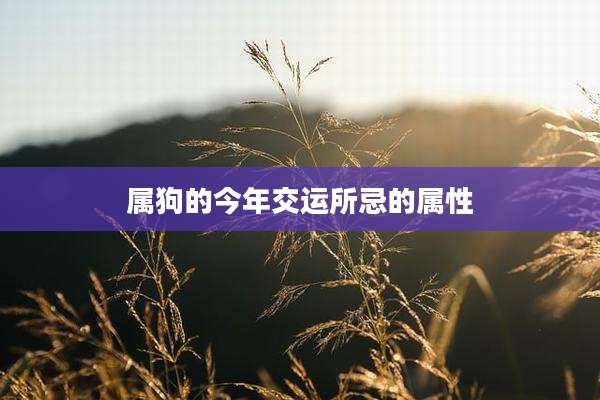 属狗的今年交运所忌的属性
