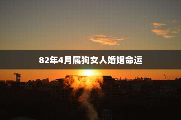 82年4月属狗女人婚姻命运