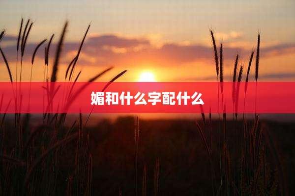 媚和什么字配什么
