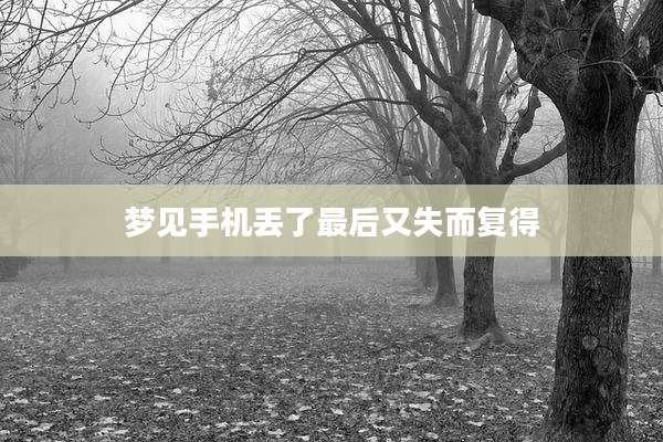梦见手机丢了最后又失而复得