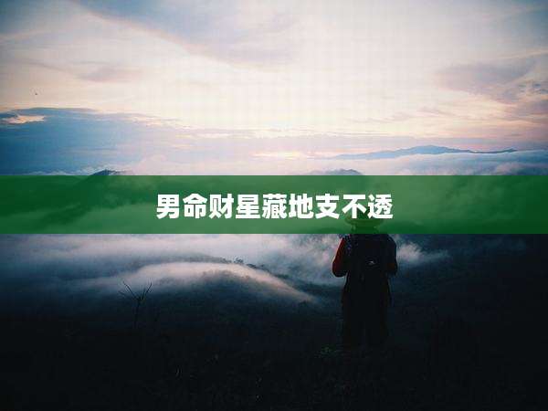 男命财星藏地支不透