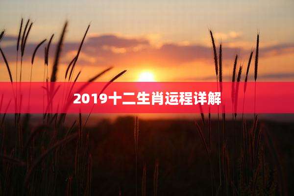 2019十二生肖运程详解