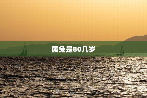 属兔是80几岁