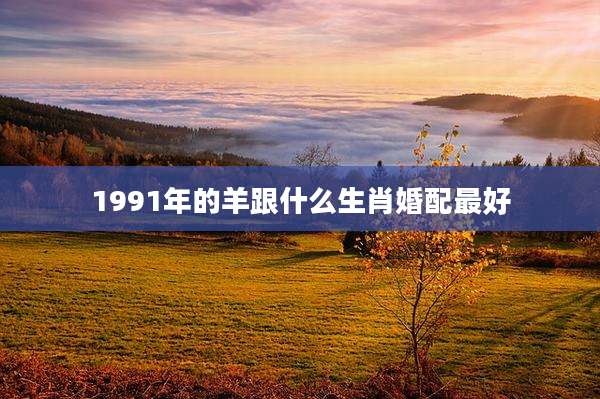 1991年的羊跟什么生肖婚配最好
