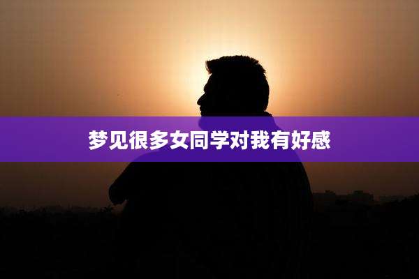梦见很多女同学对我有好感