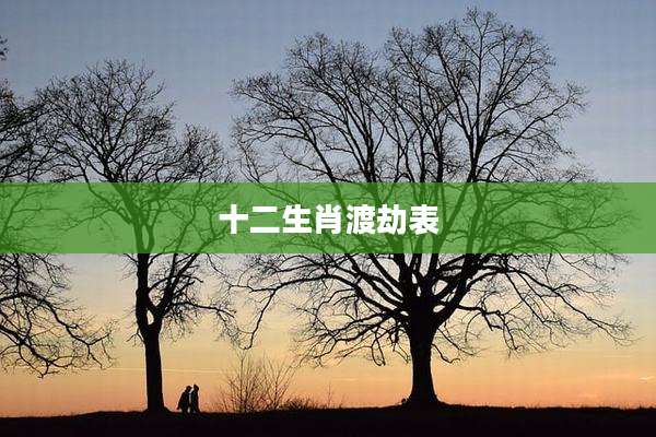 十二生肖渡劫表
