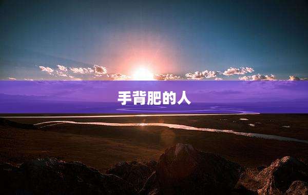 手背肥的人