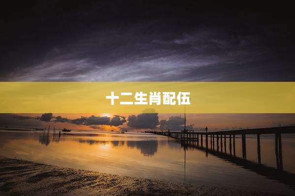 十二生肖配伍