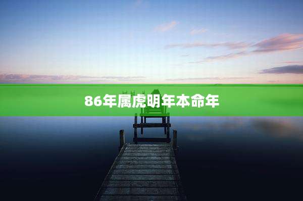 86年属虎明年本命年