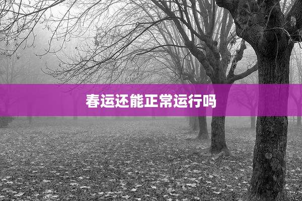 春运还能正常运行吗